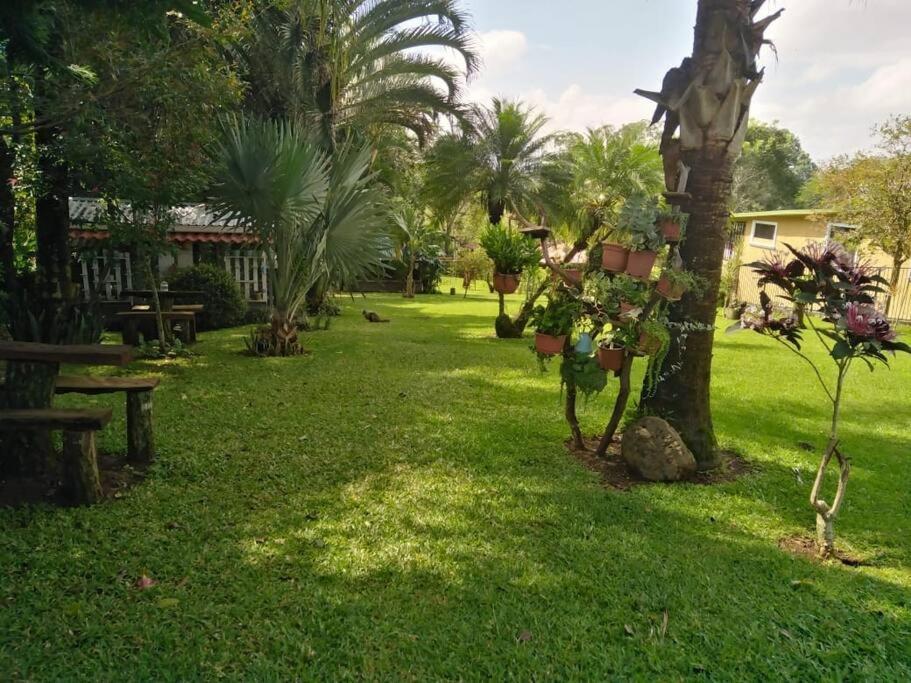 Eco Villas Tambor Tucanes Экстерьер фото
