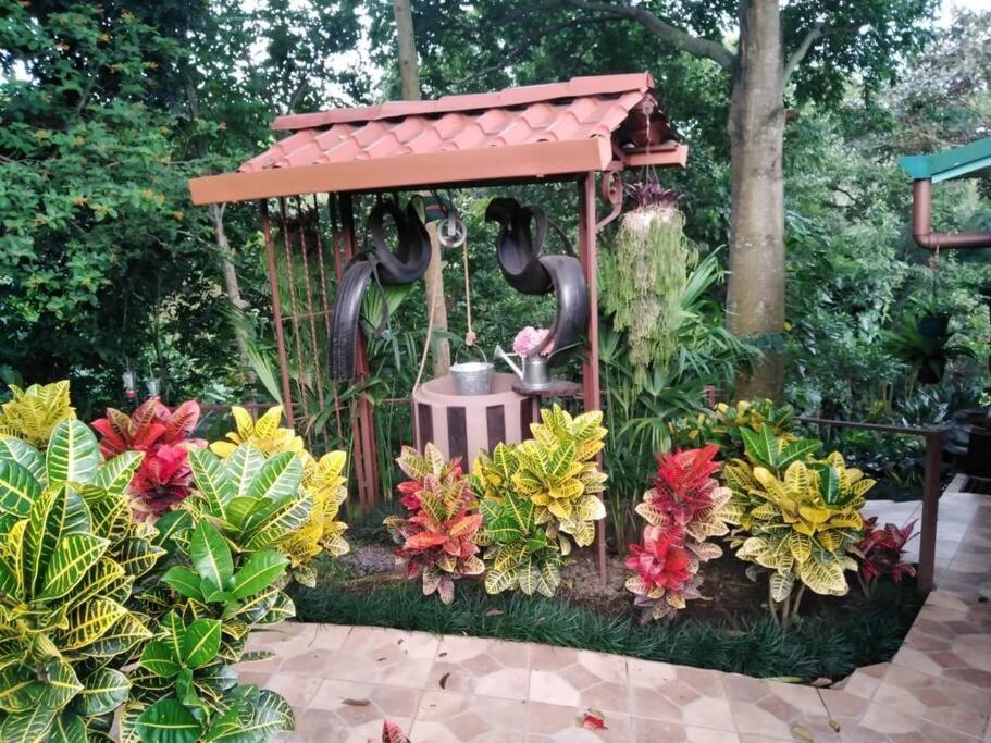 Eco Villas Tambor Tucanes Экстерьер фото