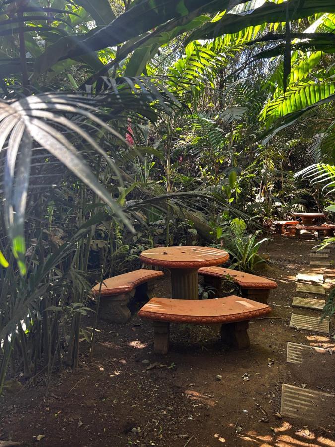 Eco Villas Tambor Tucanes Экстерьер фото