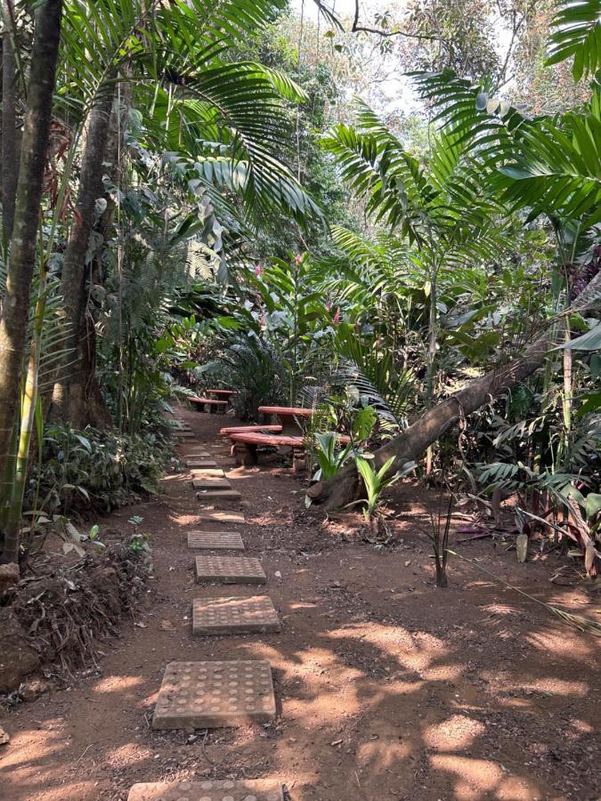 Eco Villas Tambor Tucanes Экстерьер фото