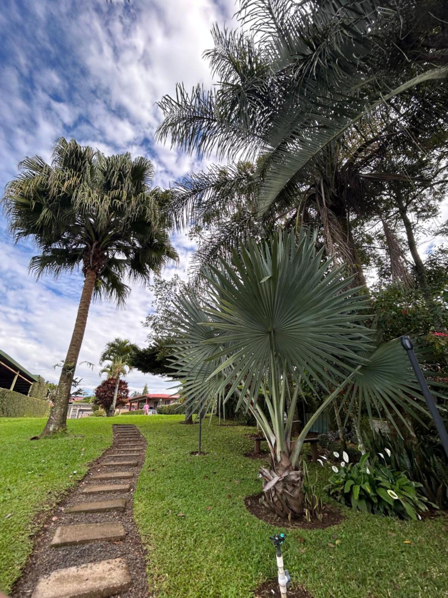 Eco Villas Tambor Tucanes Экстерьер фото